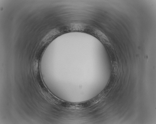 X0000083010550200702231815