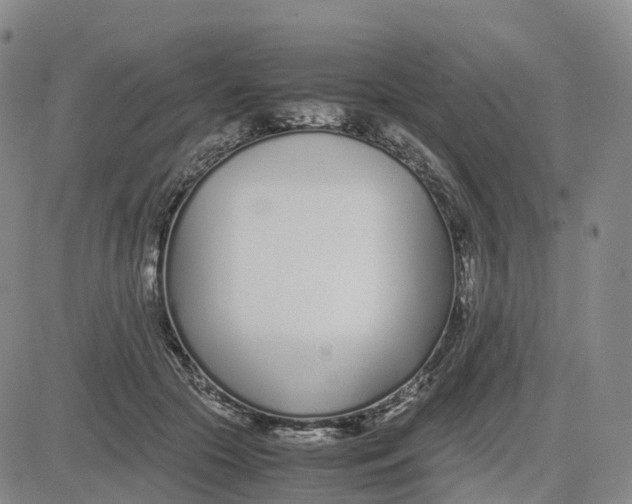 X0000083010553200702231815