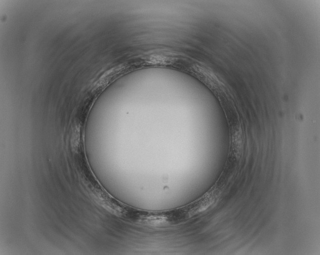 X0000083010554200702231815