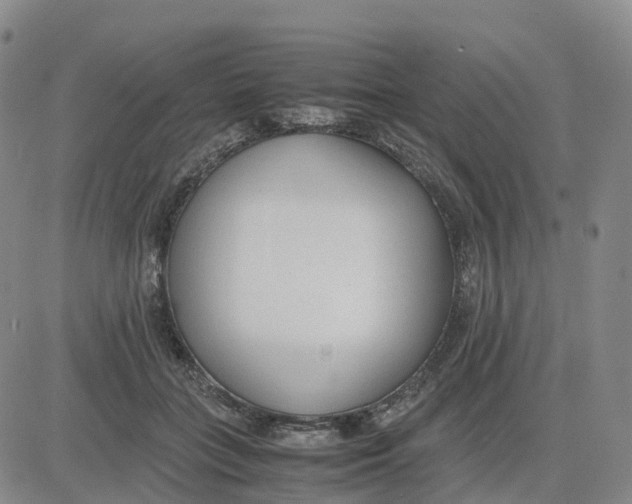 X0000083010555200702231815