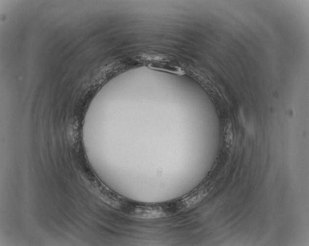 X0000083010559200702231815