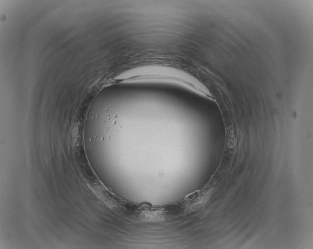 X0000083010560200702231815