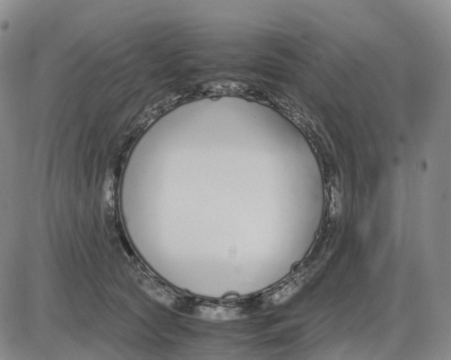 X0000083010561200702231815