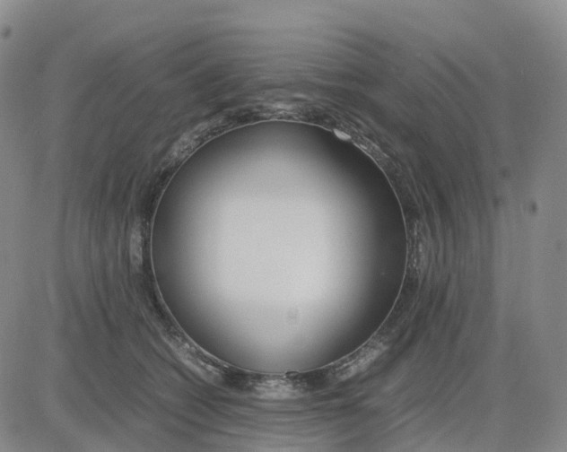 X0000083010562200702231815