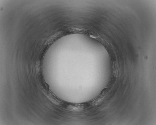 X0000083010563200702231815