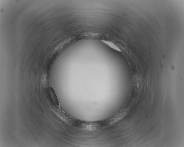 X0000083010564200702231815