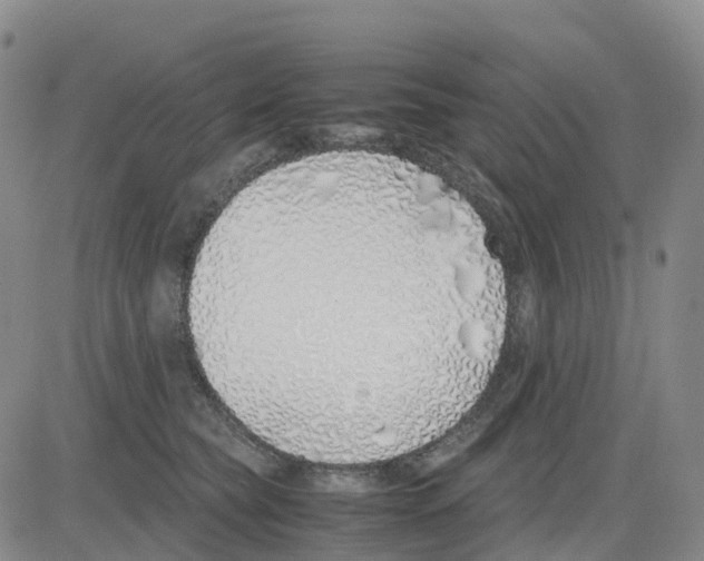 X0000083010565200702231815