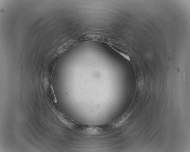 X0000083010566200702231815