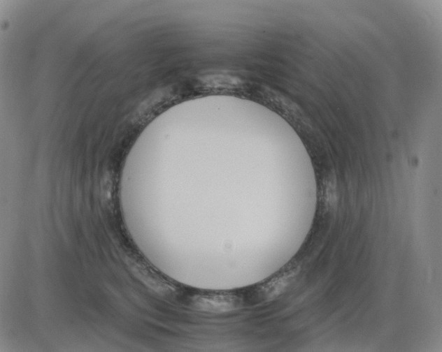 X0000083010567200702231815