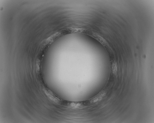 X0000083010570200702231815