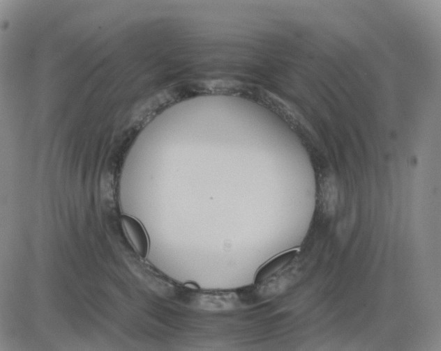 X0000083010571200702231815