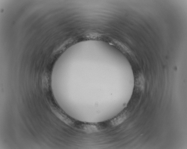 X0000083010572200702231815