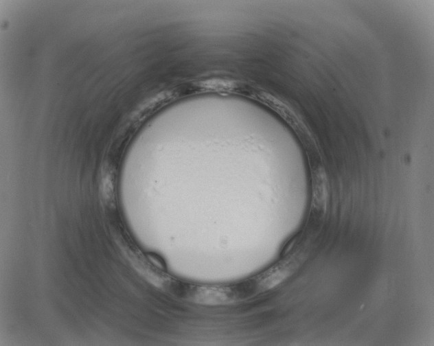 X0000083010573200702231815