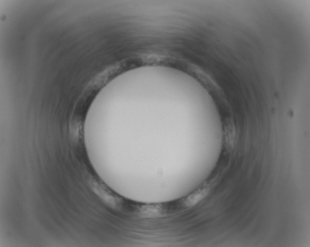 X0000083010574200702231815