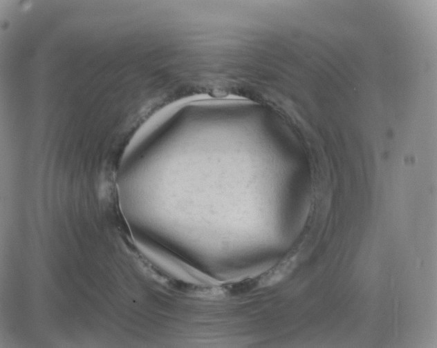 X0000083010576200702231815