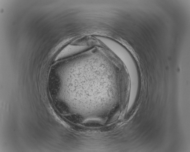 X0000083010577200702231814