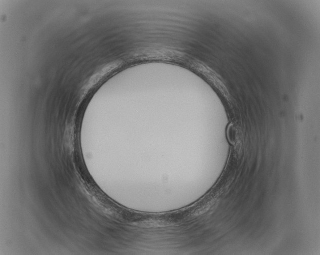 X0000083010578200702231814