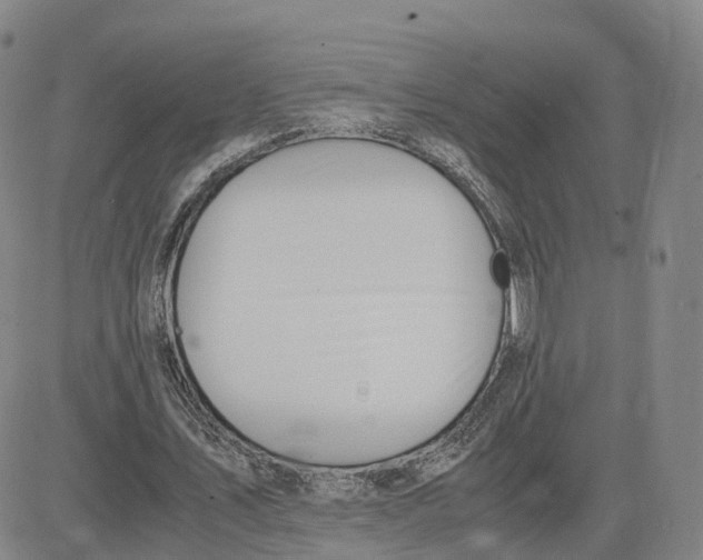 X0000083010579200702231814