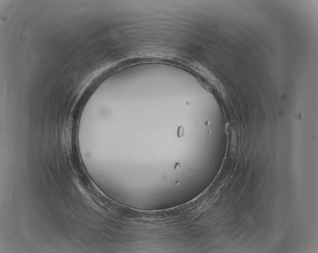 X0000083010580200702231814