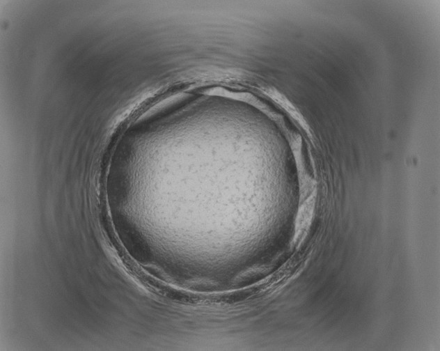 X0000083010581200702231814