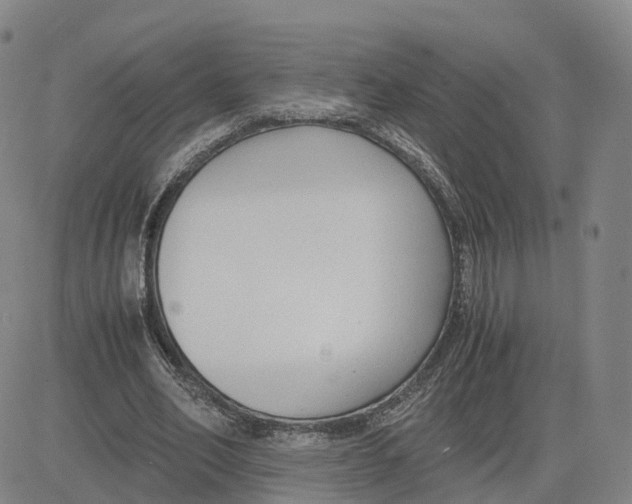 X0000083010582200702231814