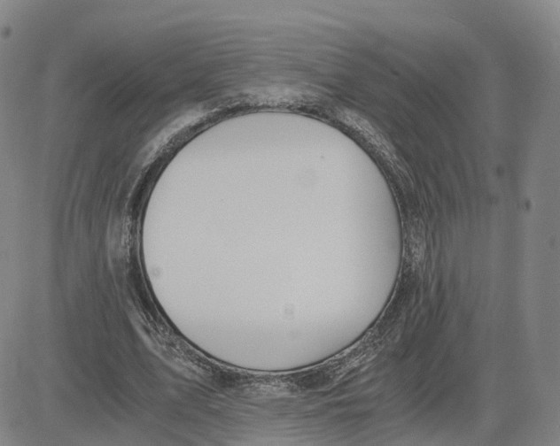 X0000083010583200702231814