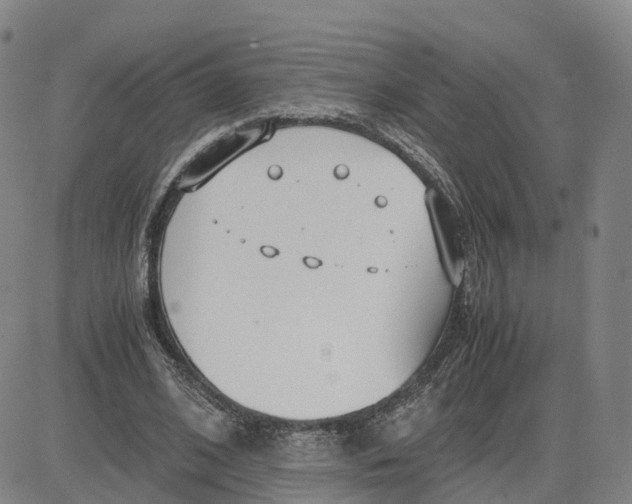 X0000083010584200702231814