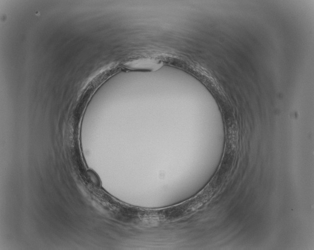 X0000083010587200702231814