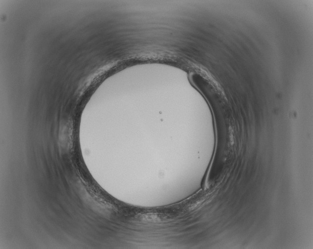 X0000083010588200702231814