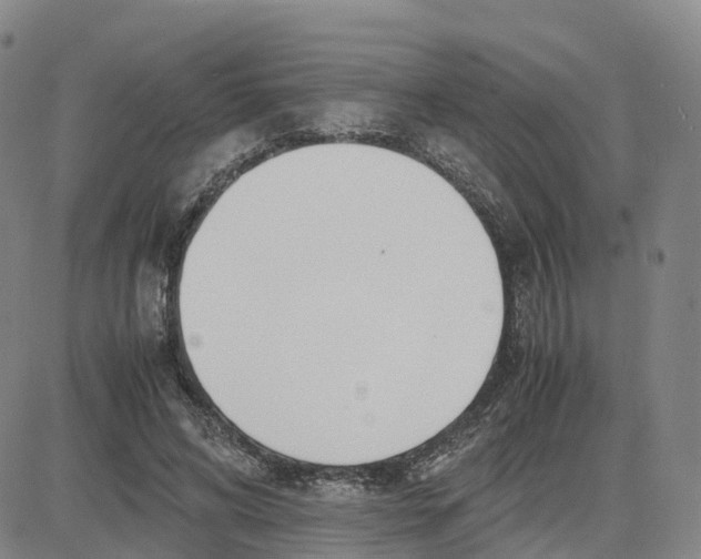 X0000083010592200702231814