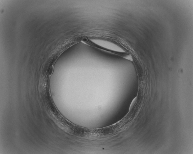 X0000083010593200702231814