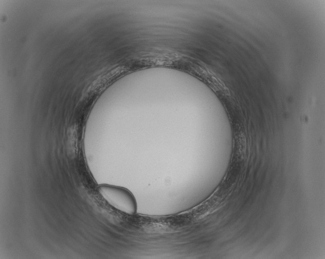 X0000083010594200702231814