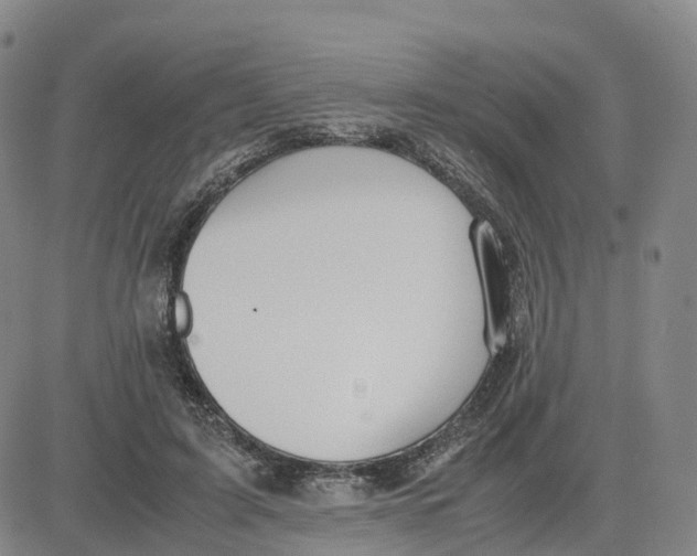 X0000083010595200702231814