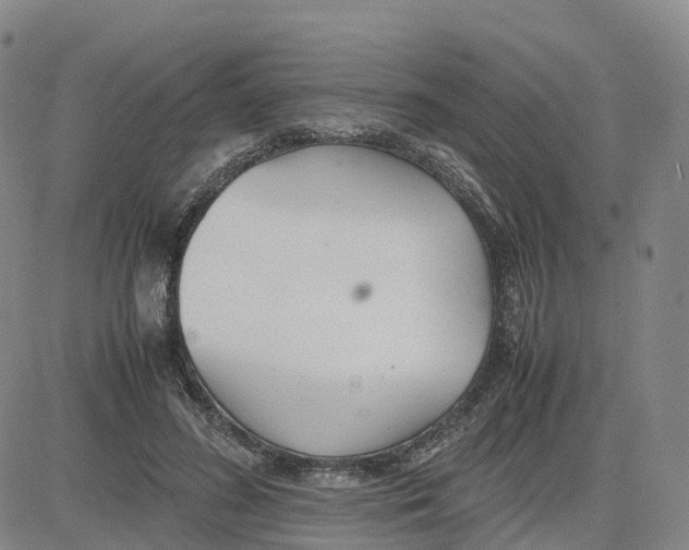 X0000083010596200702231814