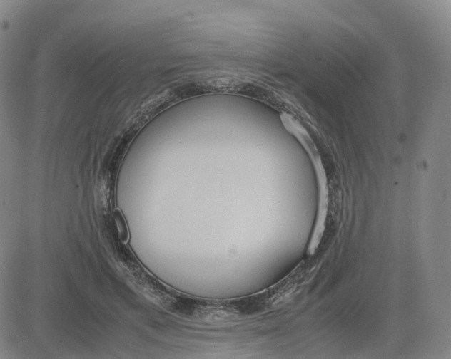 X0000083010597200702231814