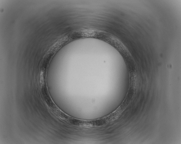 X0000083010598200702231814