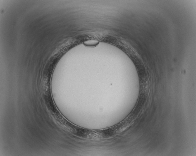 X0000083010599200702231814