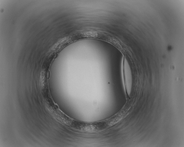 X0000083010600200702231814