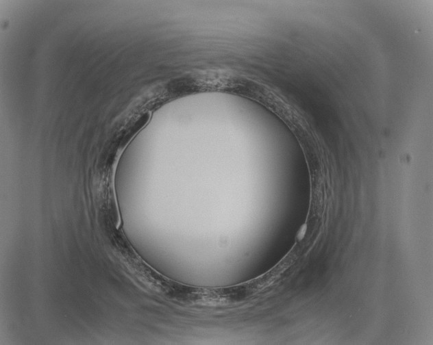 X0000083010601200702231814