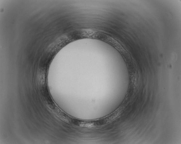 X0000083010602200702231814