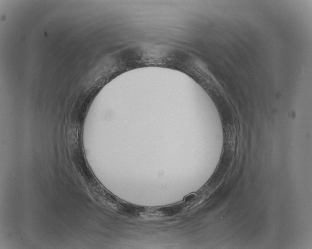 X0000083010603200702231814