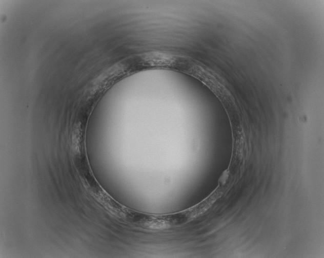 X0000083010604200702231814