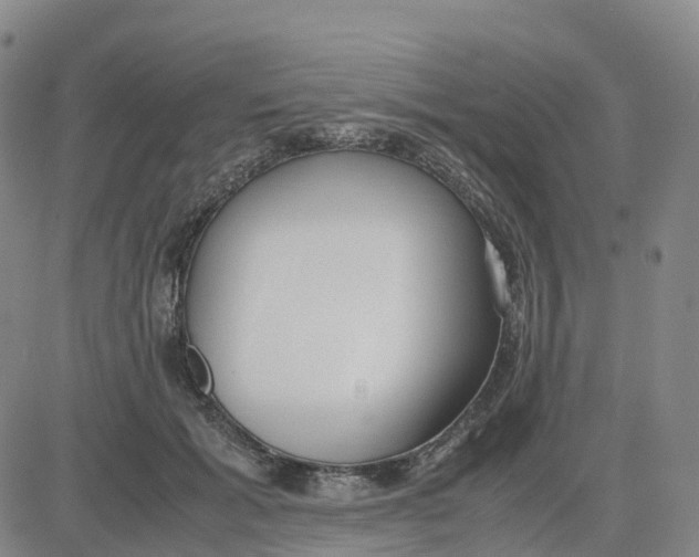 X0000083010605200702231814