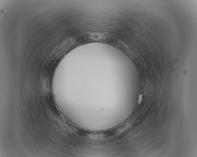 X0000083010606200702231814