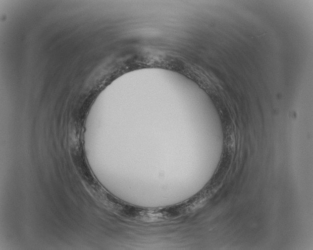 X0000083010607200702231814