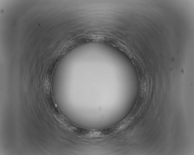 X0000083010609200702231814