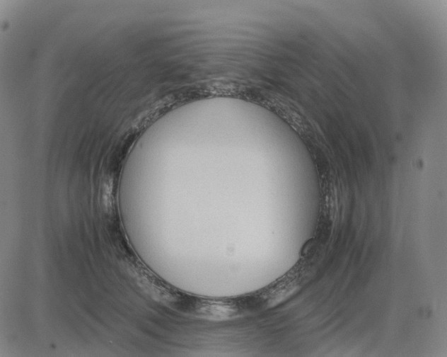 X0000083010610200702231814