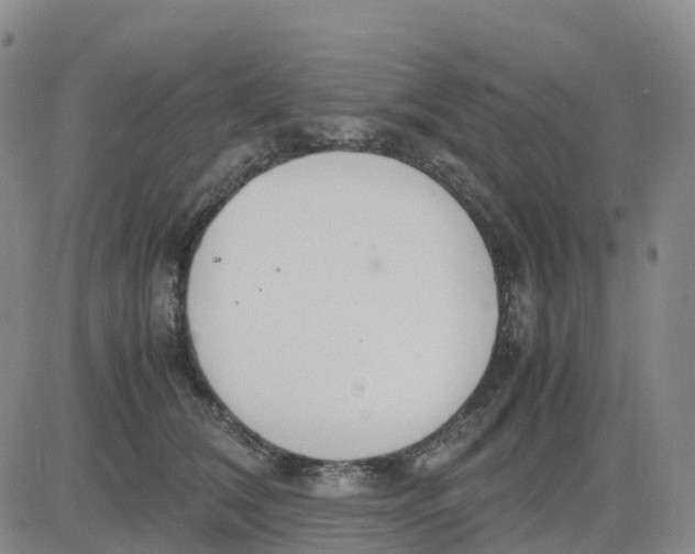 X0000083010612200702231814