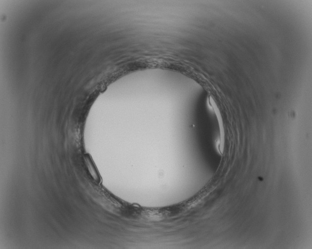 X0000083010613200702231814