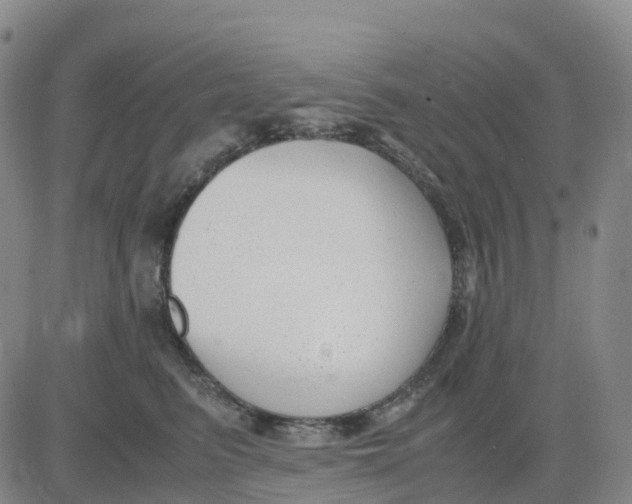 X0000083010615200702231814